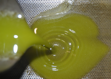 Mitos y realidades del aceite de oliva