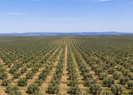 La UE simplifica la normativa sobre semillas y material de reproducción vegetal 
