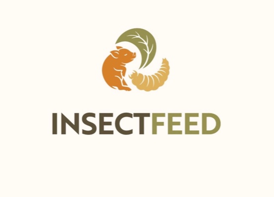 InsectFeed transformará el alperujo en proteína sostenible para alimentar lechones
