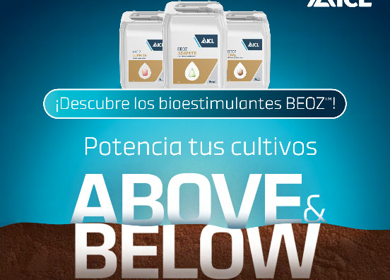 Bioestimulantes