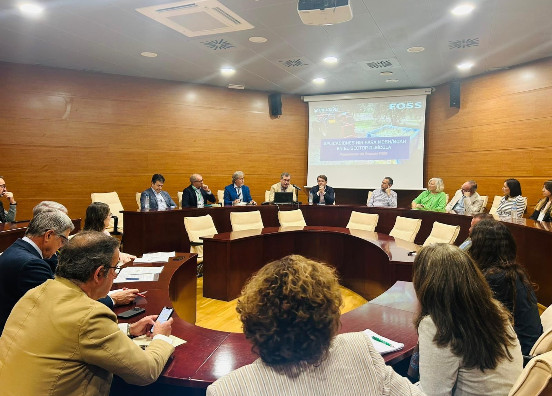 Vista general asistentes a la mesa redonda