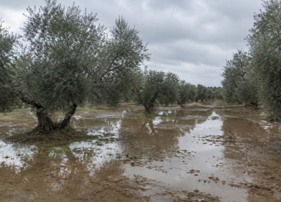 Las ayudas andaluzas por las borrascas, exentas de IRPF e impuesto de sociedades 