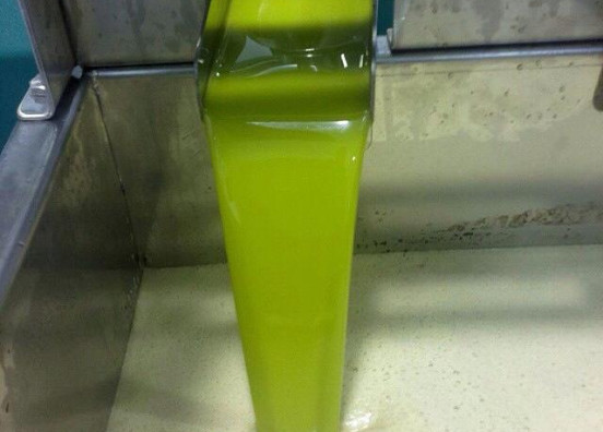 Chorro de AOVE temprano
