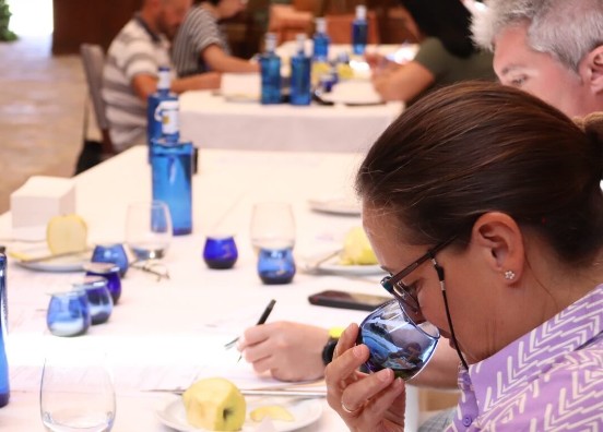 Concurso Aceite de Oliva Virgen Extra Feria Nacional del Campo 2023