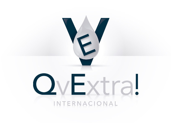 Logo QvExtra