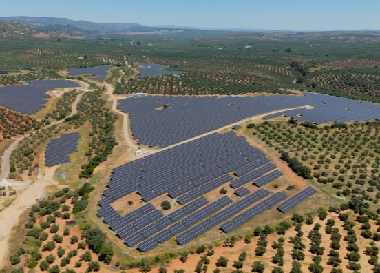 El lado solidario de Naturgy con el aceite de oliva: más que placas solares