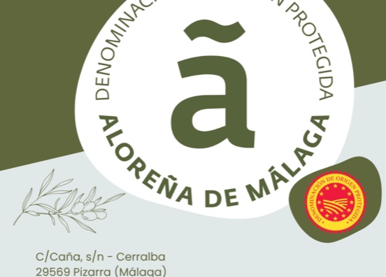 El olivar tradicional busca su sitio en el futuro del sector 
