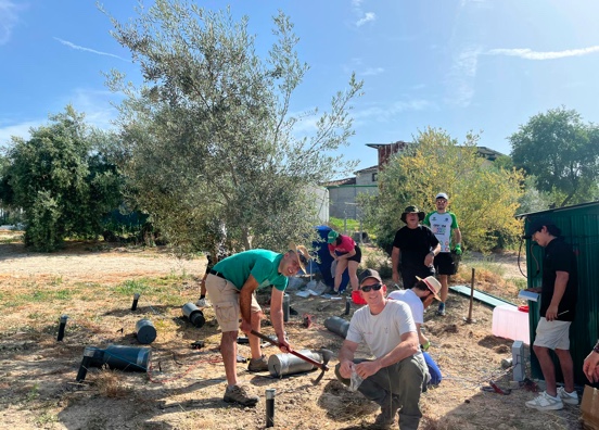 Soil O-Live lleva al campo dos tecnologías para regenerar los suelos del olivar 