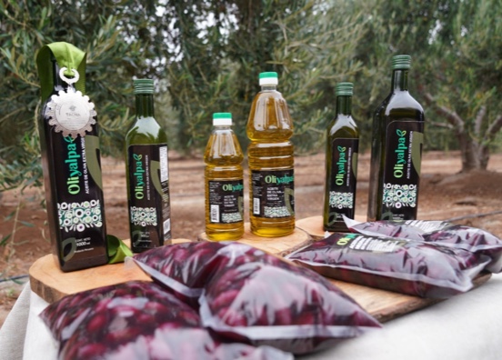 La revolución silenciosa del aceite de oliva en el sur del Perú 