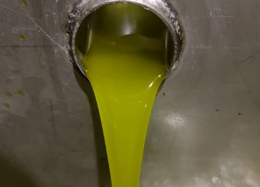 La disponibilidad de aceite de oliva en la UE cae un 28%