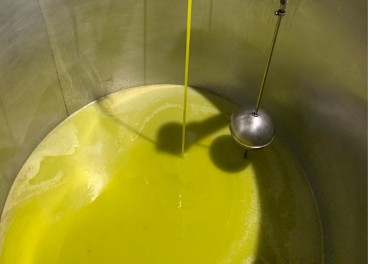 España dice adiós a una DOP de aceite de oliva