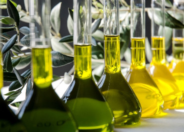 Se avecina un drama en el mercado del aceite de oliva