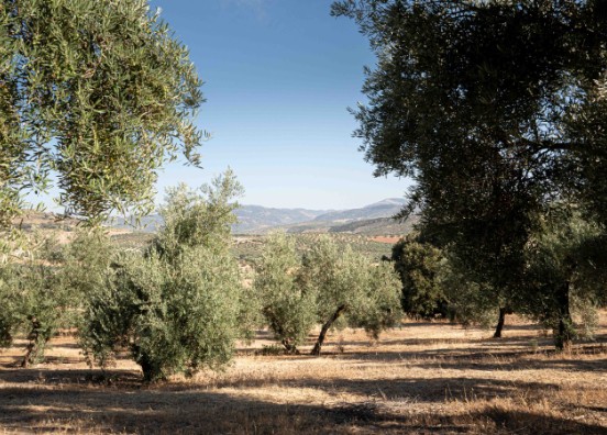 La UE destinará 500 M€ a la crisis de los fertilizantes