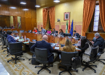 Comisión Parlamentaria en Andalucía.