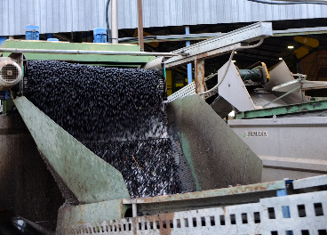 El problema del sector es la gran atomización en la producción, según Asaja.