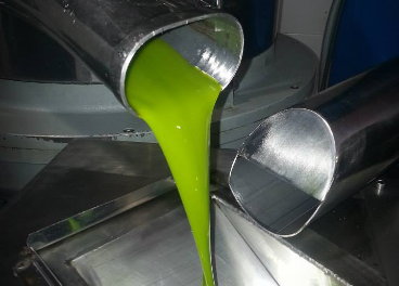 Aceite verde temprano