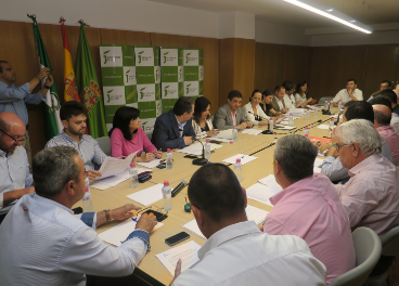 Reunión del Consejo Provincial del Aceite de Oliva.
