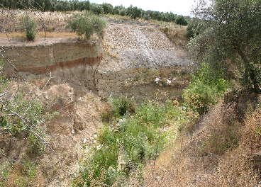 Terreno con erosión en el olivar