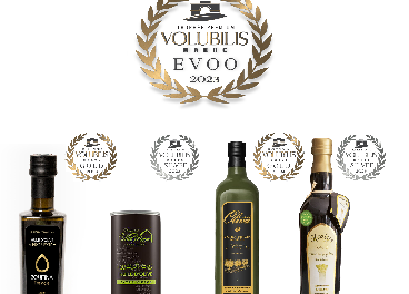 Ganadores de los Premios Volubilis