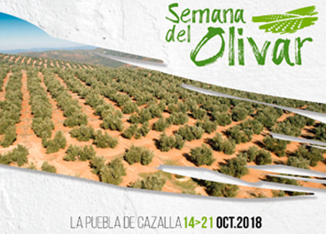 A lo largo de la semana hay programadas diferentes actividades en torno al olivar.