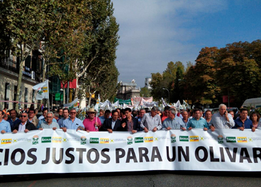 Más de 30.000 olivareros recorrieron las calles de Madrid.