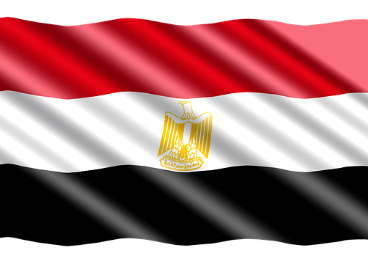 La actividad principal de Egipto en el sector oleícola es la producción de aceituna de mesa.