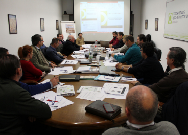 Consejo sectorial de la aceituna de mesa de Cooperativas de Andalucía.