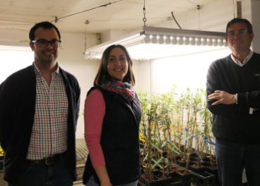 De izquierda a derecha, los investigadores del Departamento de Agronomía de la UCO Carlos Agustí, Ana López y Antonio Trapero.