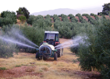 Tratamiento contra la mosca del olivo