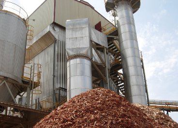 La biomasa representa ya el 37% de la energía procedente de fuentes renovables en Andalucía.