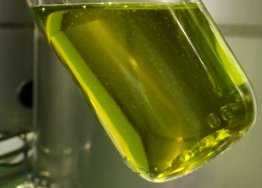 Aceite de oliva nuevo filtrado