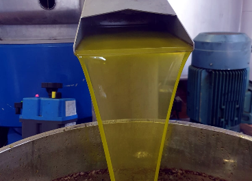 Salida del aceite de oliva fresco