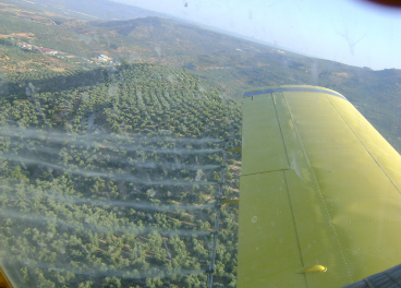 Los tratamientos los realizan desde una avioneta.