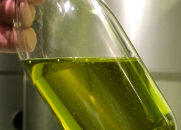 Nuevo aceite de oliva virgen extra