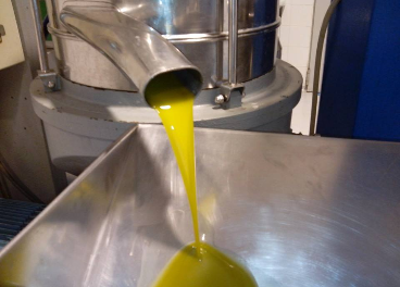 Nuevo aceite de oliva