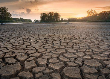 La sequía amenaza los cultivos de Jaén