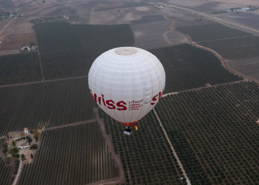 Olivar de Écija desde el aire.